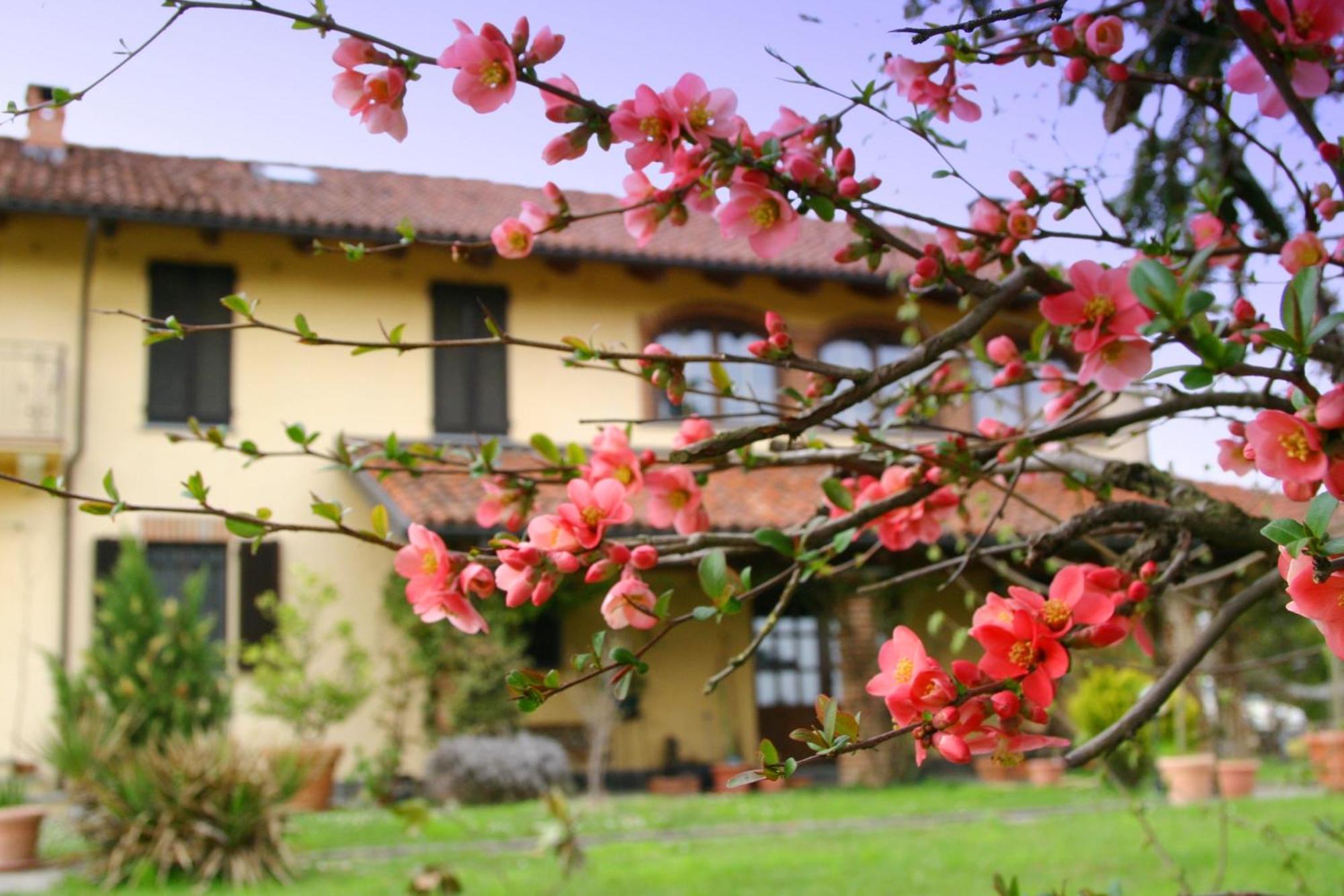 Cascina Vignole Villa Montafia Exterior photo